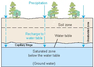 Capillary Fringe Image